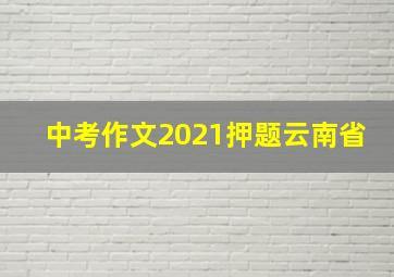 中考作文2021押题云南省