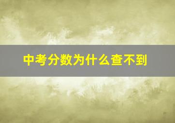 中考分数为什么查不到