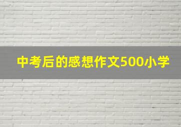 中考后的感想作文500小学