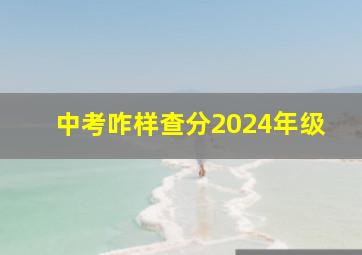 中考咋样查分2024年级