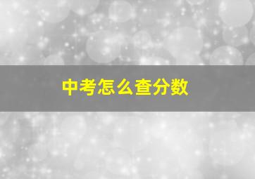 中考怎么查分数