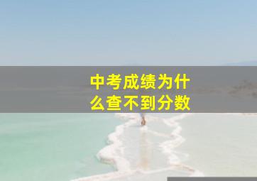 中考成绩为什么查不到分数