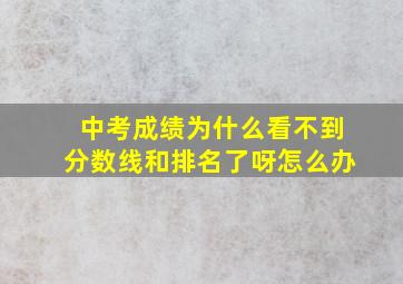 中考成绩为什么看不到分数线和排名了呀怎么办