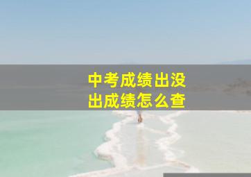 中考成绩出没出成绩怎么查