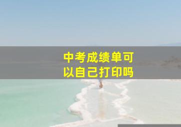 中考成绩单可以自己打印吗