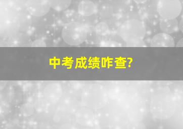 中考成绩咋查?