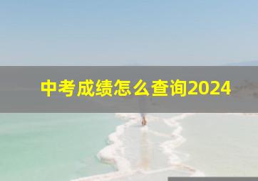 中考成绩怎么查询2024