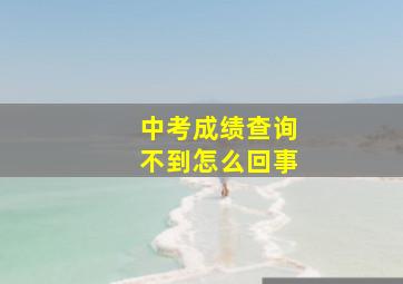 中考成绩查询不到怎么回事