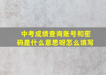 中考成绩查询账号和密码是什么意思呀怎么填写