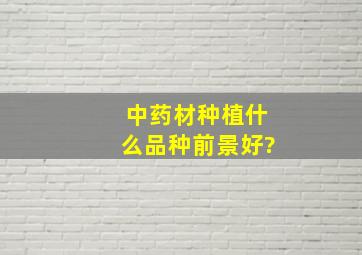 中药材种植什么品种前景好?