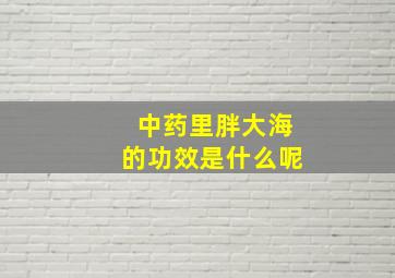 中药里胖大海的功效是什么呢