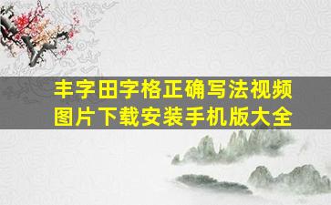 丰字田字格正确写法视频图片下载安装手机版大全