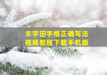 丰字田字格正确写法视频教程下载手机版