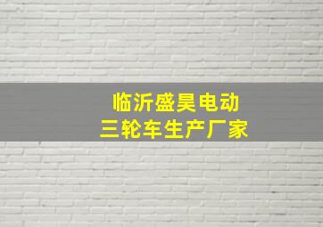 临沂盛昊电动三轮车生产厂家