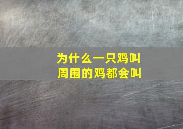 为什么一只鸡叫 周围的鸡都会叫