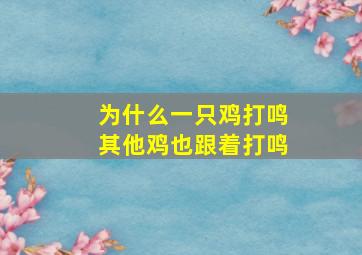 为什么一只鸡打鸣其他鸡也跟着打鸣