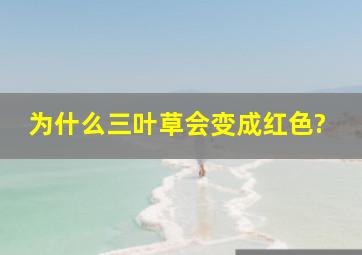 为什么三叶草会变成红色?