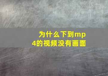 为什么下到mp4的视频没有画面