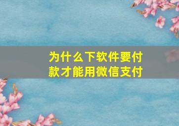 为什么下软件要付款才能用微信支付