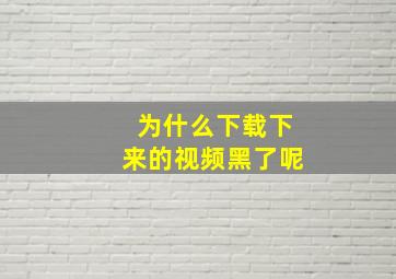 为什么下载下来的视频黑了呢