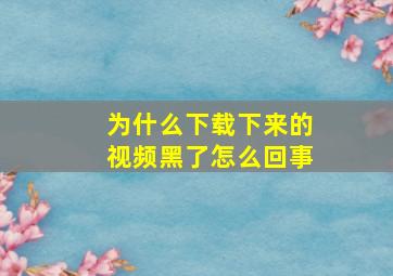 为什么下载下来的视频黑了怎么回事