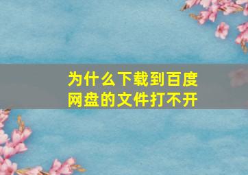 为什么下载到百度网盘的文件打不开