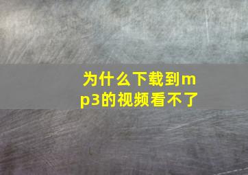 为什么下载到mp3的视频看不了