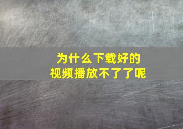 为什么下载好的视频播放不了了呢