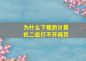 为什么下载的计算机二级打不开网页