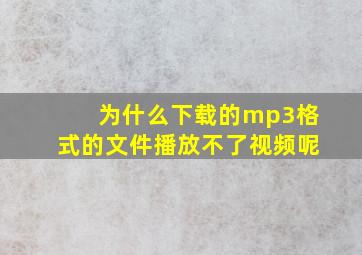 为什么下载的mp3格式的文件播放不了视频呢