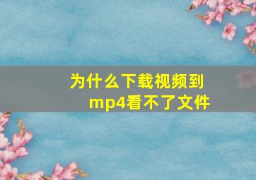 为什么下载视频到mp4看不了文件