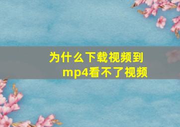 为什么下载视频到mp4看不了视频