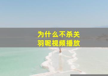 为什么不杀关羽呢视频播放