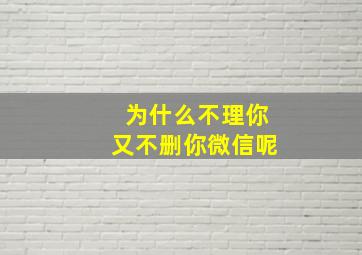 为什么不理你又不删你微信呢