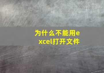 为什么不能用excel打开文件