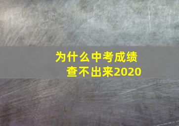 为什么中考成绩查不出来2020