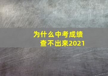 为什么中考成绩查不出来2021