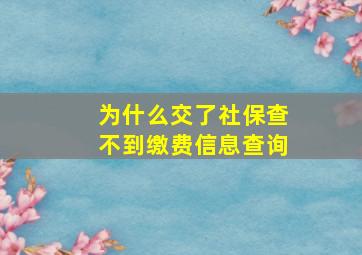 为什么交了社保查不到缴费信息查询