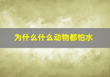 为什么什么动物都怕水