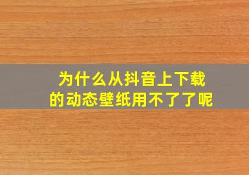 为什么从抖音上下载的动态壁纸用不了了呢