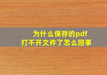 为什么保存的pdf打不开文件了怎么回事