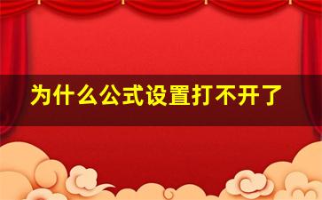 为什么公式设置打不开了