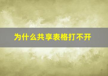 为什么共享表格打不开