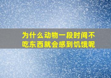 为什么动物一段时间不吃东西就会感到饥饿呢