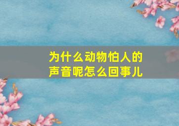 为什么动物怕人的声音呢怎么回事儿