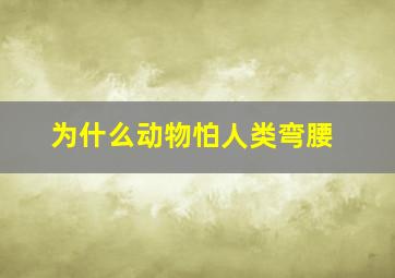 为什么动物怕人类弯腰