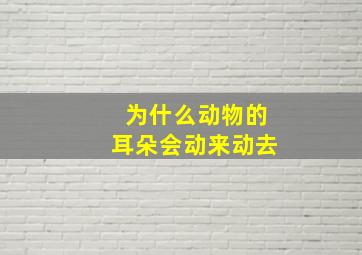 为什么动物的耳朵会动来动去