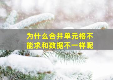 为什么合并单元格不能求和数据不一样呢