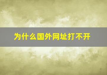 为什么国外网址打不开