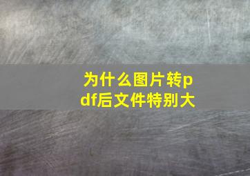 为什么图片转pdf后文件特别大